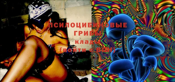 ECSTASY Нязепетровск