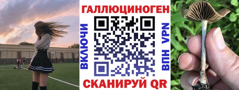 это клад  MEGA рабочий сайт  Верхняя Салда  Псилоцибиновые грибы GOLDEN TEACHER 