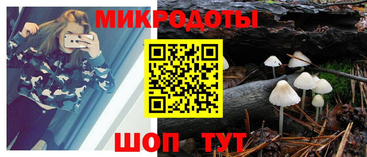 Бошки Шишки Верхняя Салда