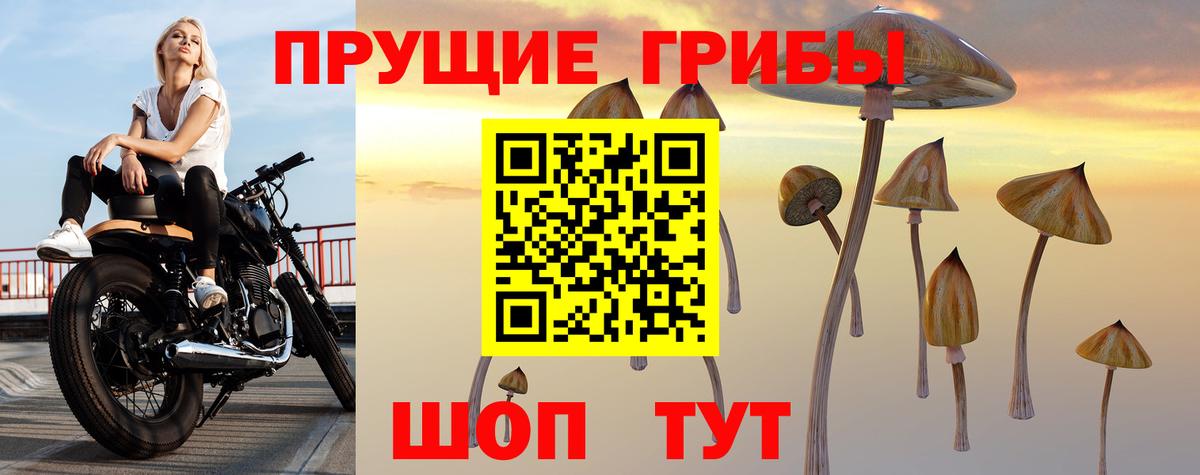 Галлюциногенные грибы Psilocybine cubensis  наркотики  Верхняя Салда 