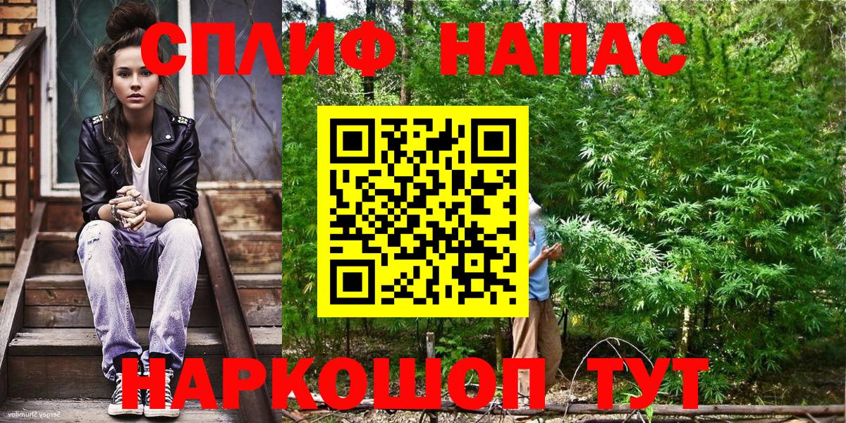 Каннабис планчик  МАРИХУАНА OG Kush  Верхняя Салда  Шишки марихуана MAZAR 